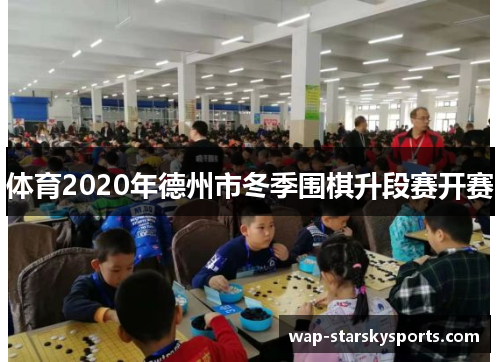 体育2020年德州市冬季围棋升段赛开赛